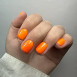 EVO Gel 054 Gusti