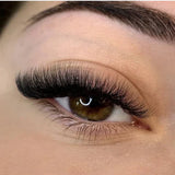 Black Volume lashes (13 rows) CC Curl 0.07