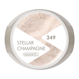 4.5g Gel No 349 Stellar Champagne + Black Matt Magnet