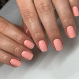 EVO Gel 135 Clara