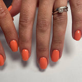 EVO Gel 150 Hailey