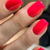 EVO Gel 092 Linn