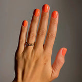 EVO Gel 179 Mariza