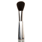 Dusting Brush